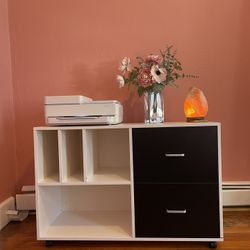 Black & White Cabinet w/ 2 Filing Drawers