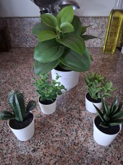 Fake plant set