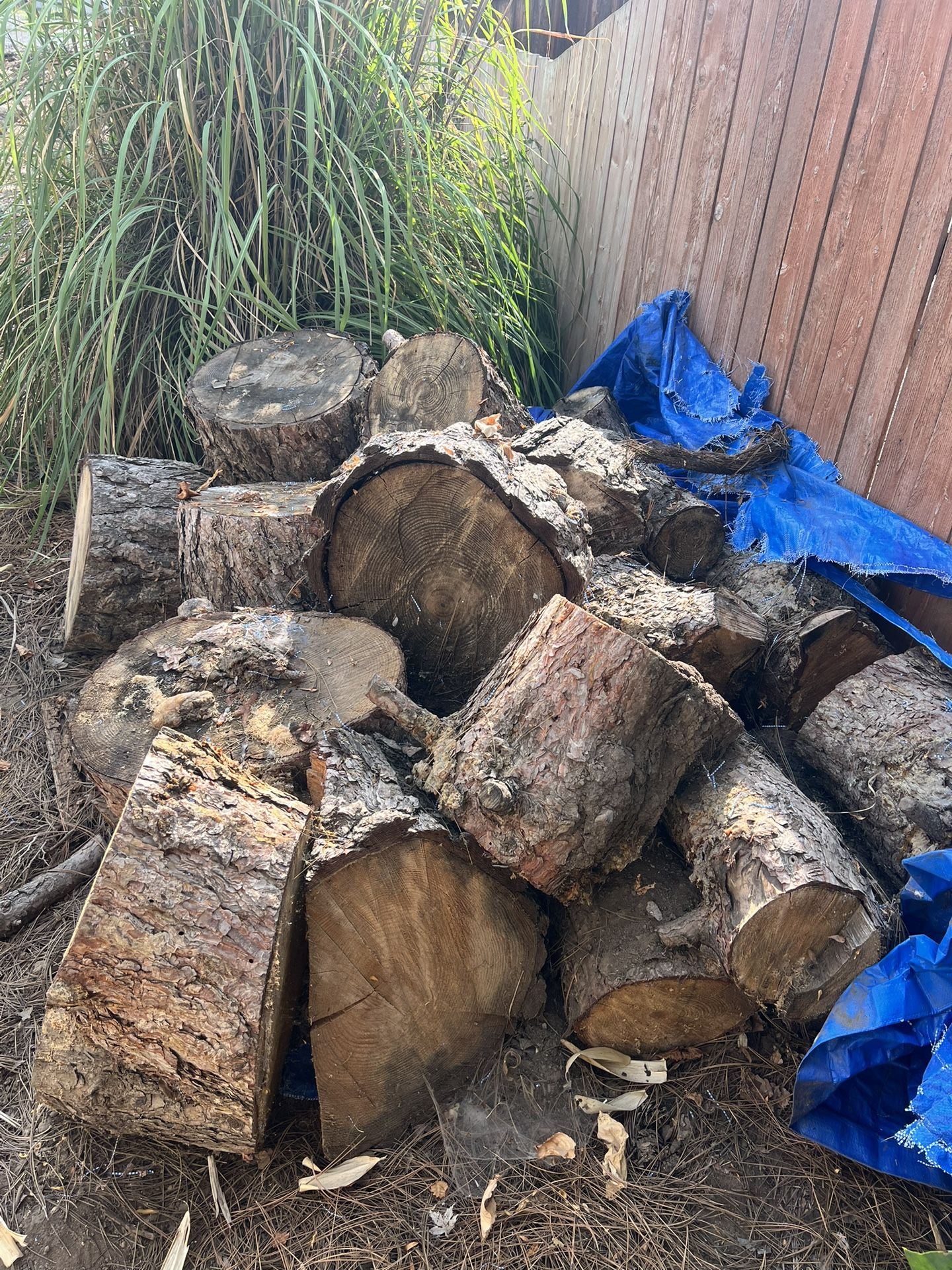 Pine Rounds