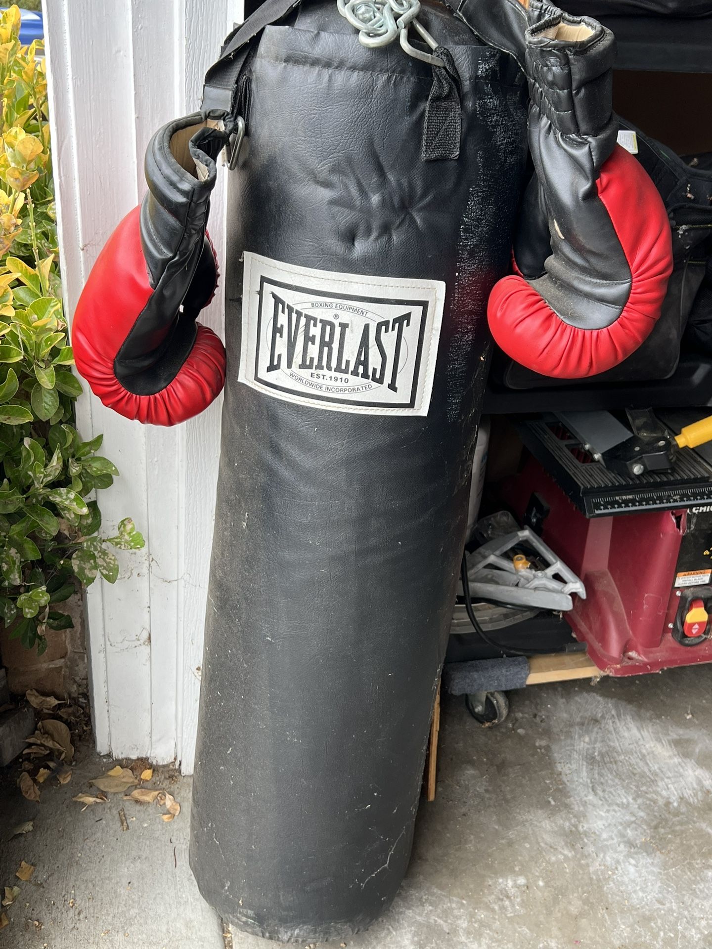 Punching Bag With Gloves