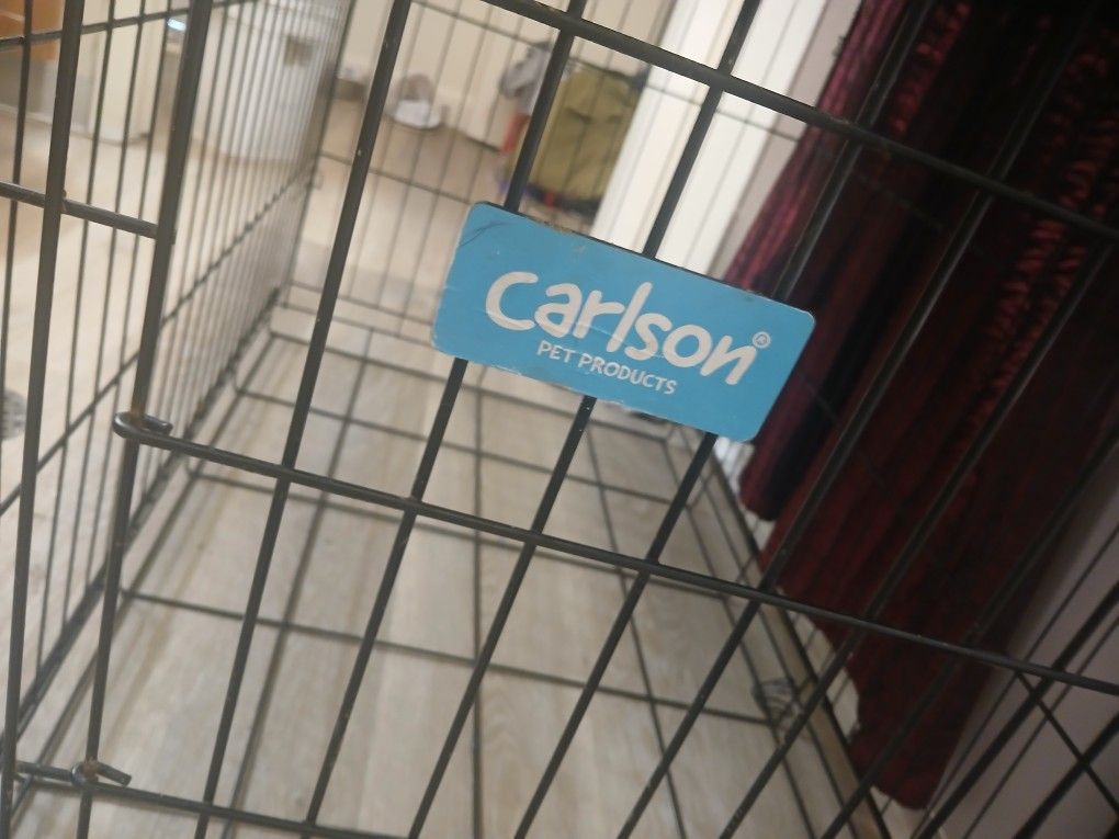$15 Large Dog Cage San Francisco
