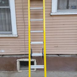 Louisville 16 Ft Ladder