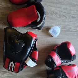 Century Karate Sparring Gear 