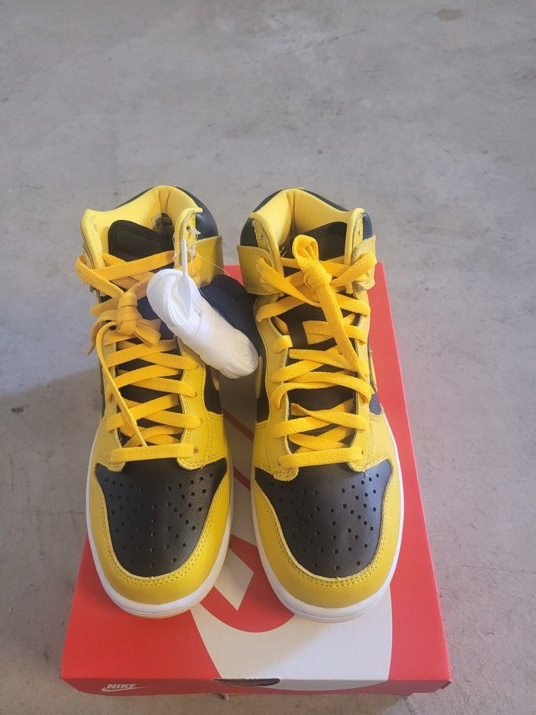 NEW Nike Dunk Hi. Size 8.5M