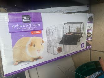 Guinea Pig Home