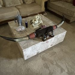 Longhorn Horn