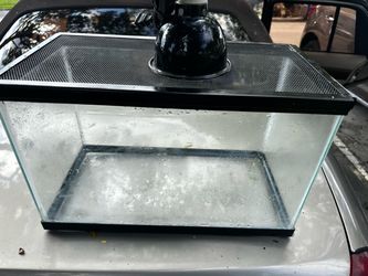 10 gallon terranium! With top and light