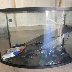 New Fish Tank 