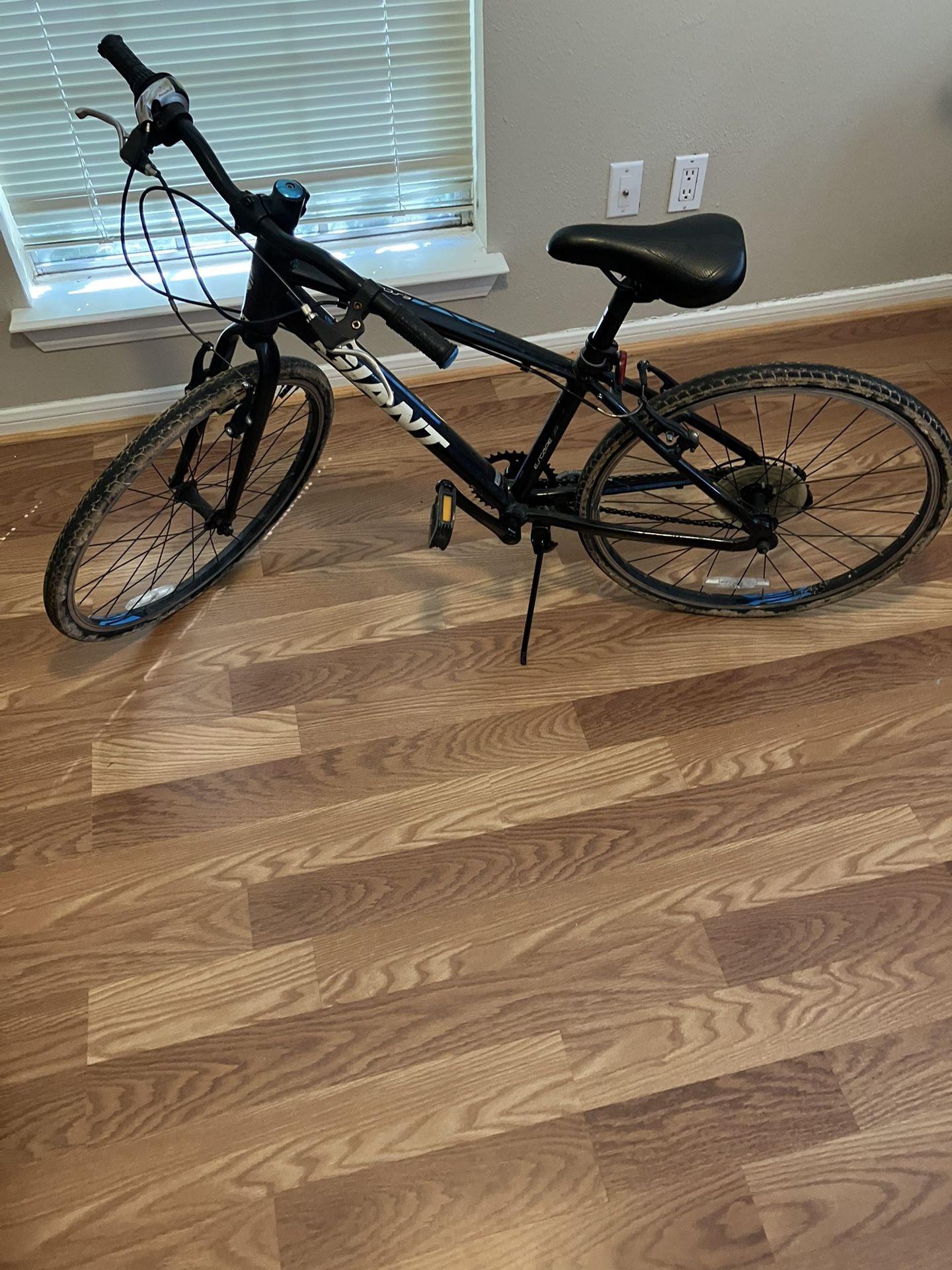 Giant Jr Mountain Bike For Sale