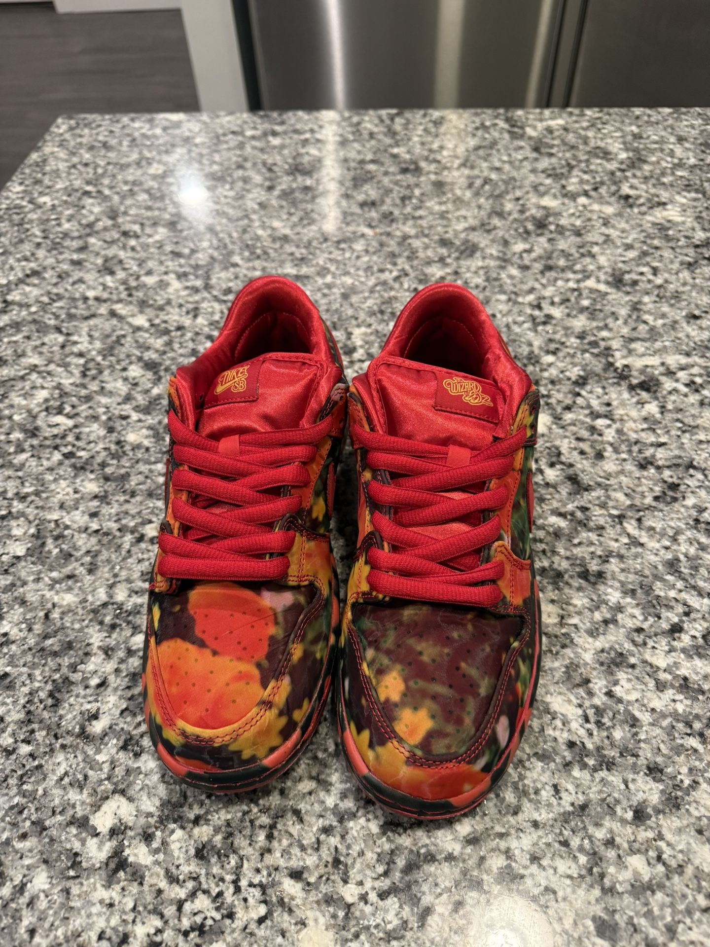 Dunk Low Pro The Wizar Of Oz Poppy Field