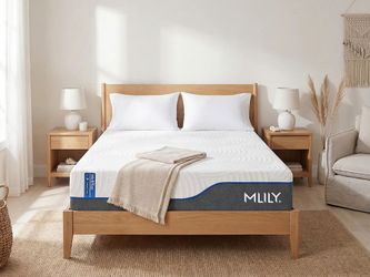 🛏️ MLILY WellFlex Memory Foam Mattress