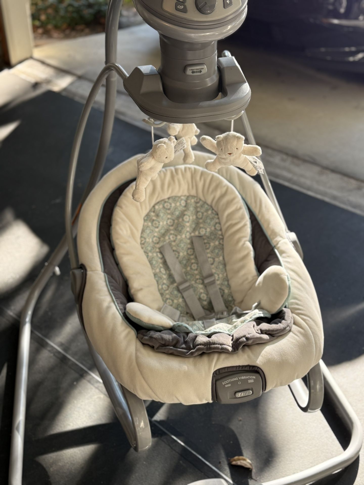 Graco Infant Swing & Rocker,