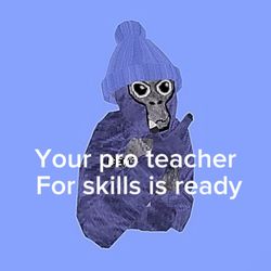 I Can Teach You Skills In Gorilla Tag 