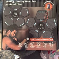 Boxing Training Machine