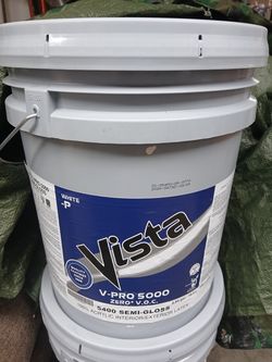 Indoor/outdoor paint