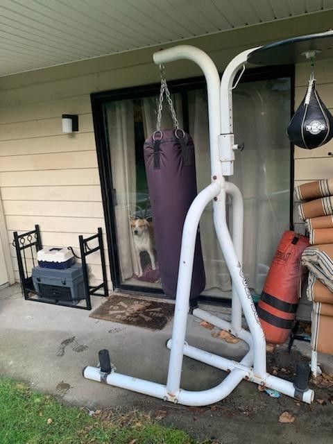 Century Boxing Stand With Speed Punch