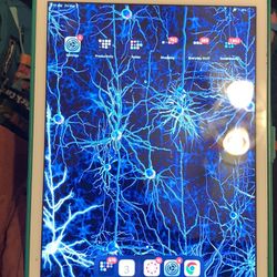 IPad 8th Generation 10.2 Inches 