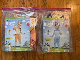 Bluey and Bingo Costumes - Like New