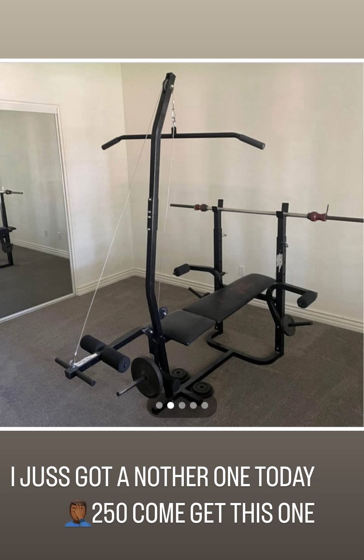 Weight Bench