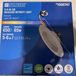 Recessed retrofit light