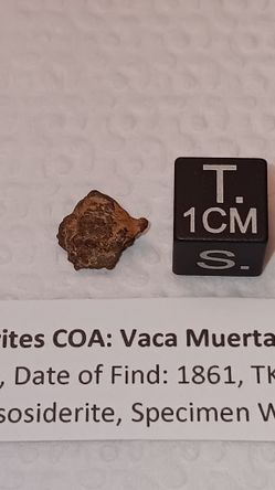 Vaca Muerta (Dead Cow) Chilean Meteorite Fragment
2.1 grams (w/Natural Patina)