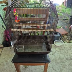 Bird Cage