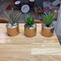 Small Fake Plants 