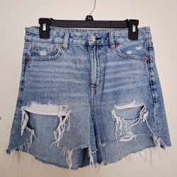 American Eagle Baggy Mom Shorts - Size 2