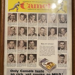 Old School Ment Condition Camel Picture With Frame