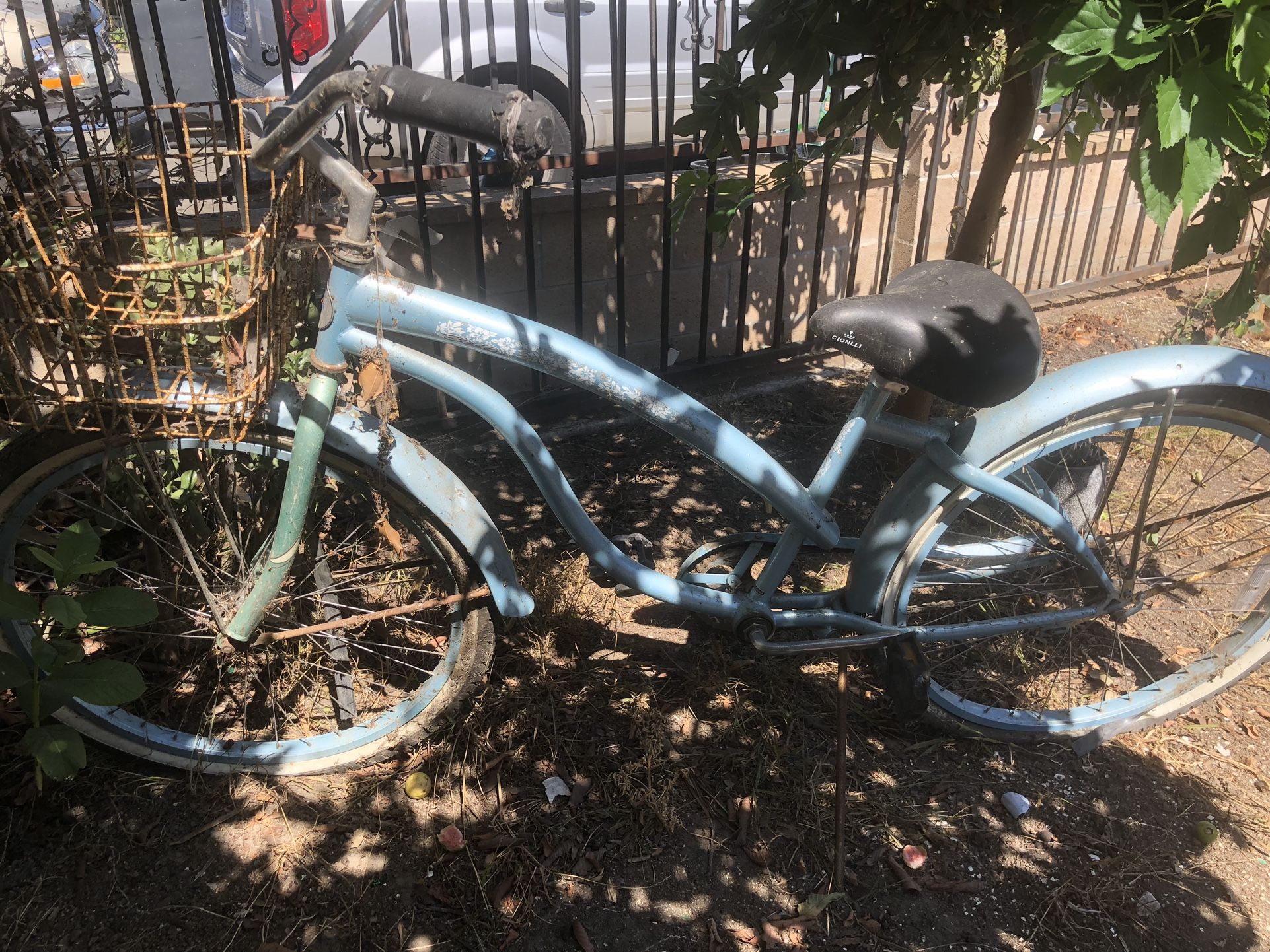 Beach Cruiser