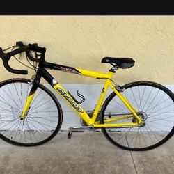 Giant Road Bike