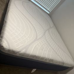 Queen Memory Foam Mattress + Box Spring – Used – Pickup Only