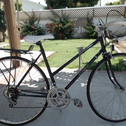 Schwinn 60639 sale