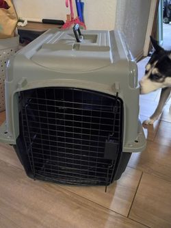 Dog crate