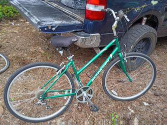 Schwinn Green Mountain Bike