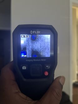 Thermal Image, Moisture Meter