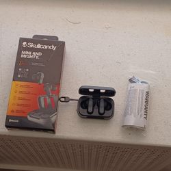 Skullcandy Dimes Earbuds