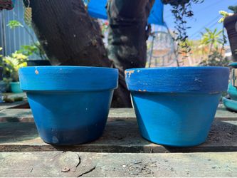 Hand painted terracotta pots