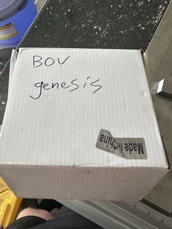 Stock Genesis Blov