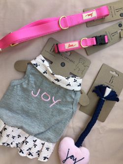 Collar & Leash, toy and Apparel