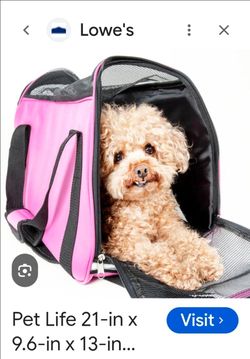 Bolsa para mascot