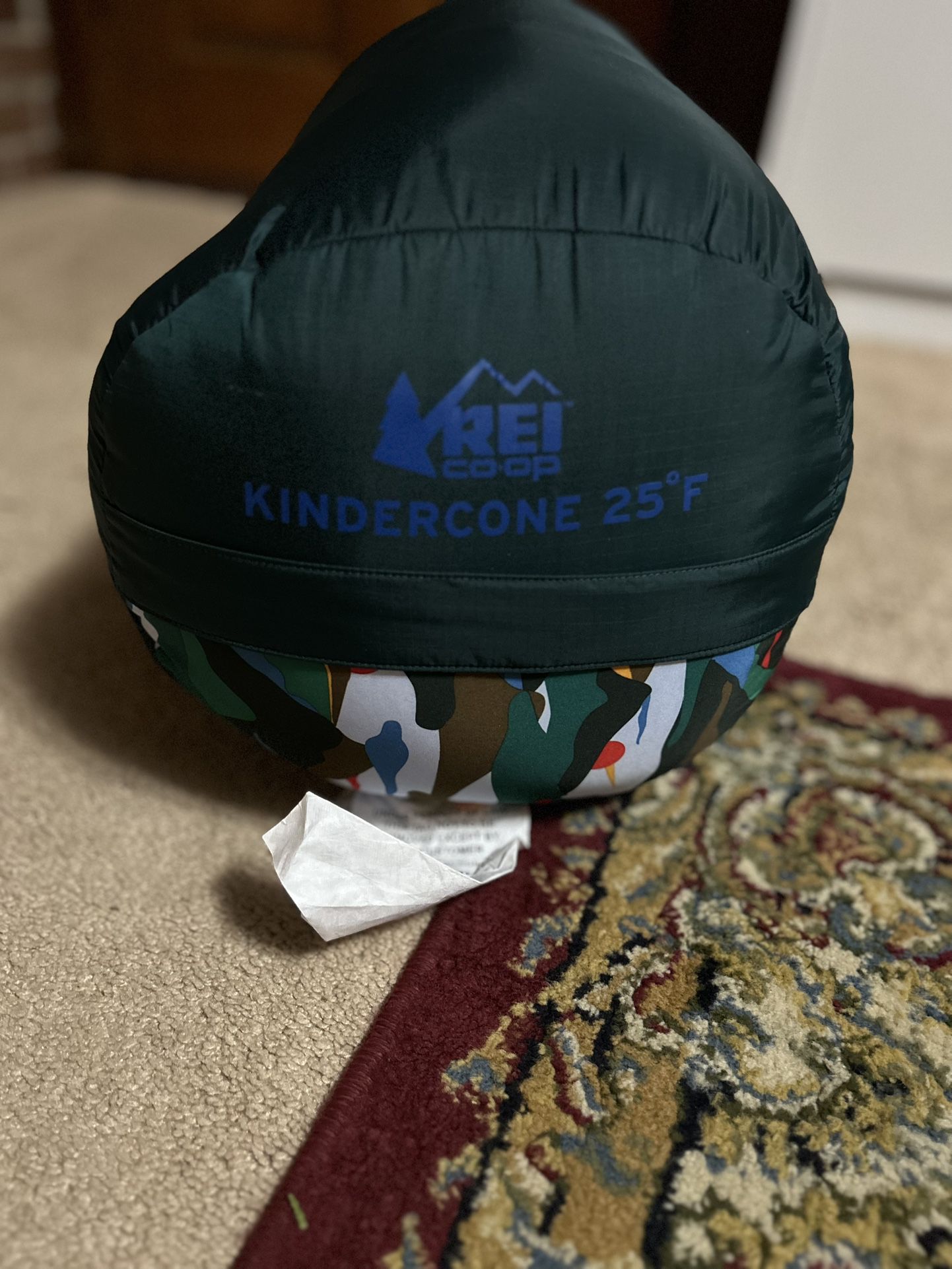 REI kindercone 25 Sleeping Bag 