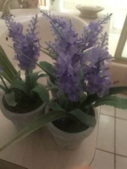 Artificial plant/each $4/small plant