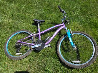 24 inch girls bicycle
