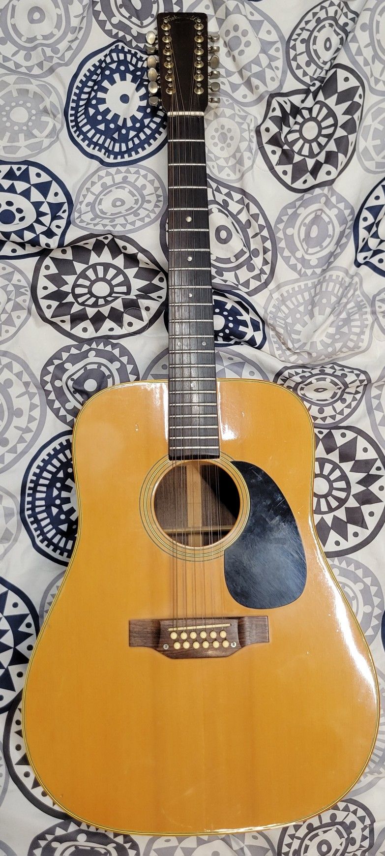 Takamine Acoustic Guitar 12 String