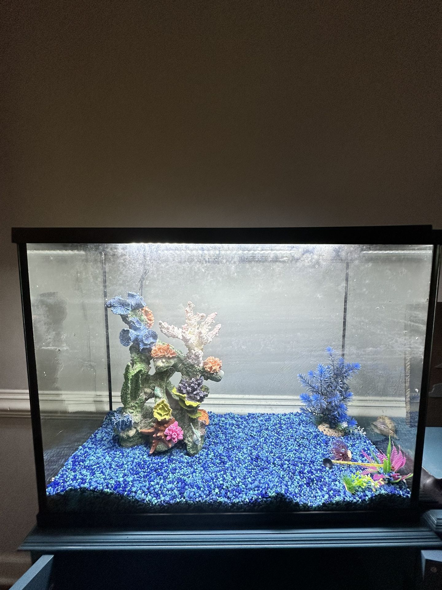 35 Gallon Fish Tank And Light 