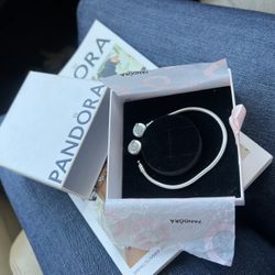 Pandora Charm Bracelet 