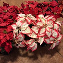 6 Medium Sized Artificial Poinsettias 
