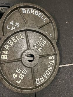 45 lb Standard Cast Iron Barbell Weight Plates Pair