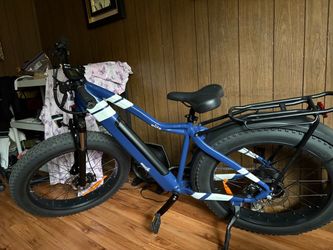 Breeze Elite Fat Tire Electric Bike